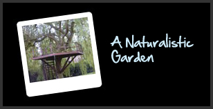 A Naturalistic Garden