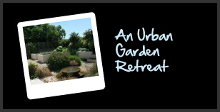 An urban garden retreat